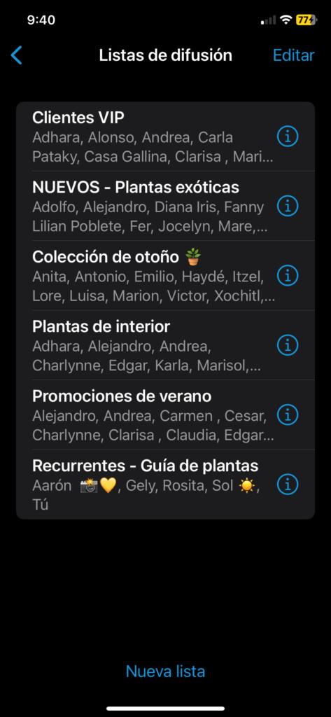 Pantalla de WhatsApp Business mostrando