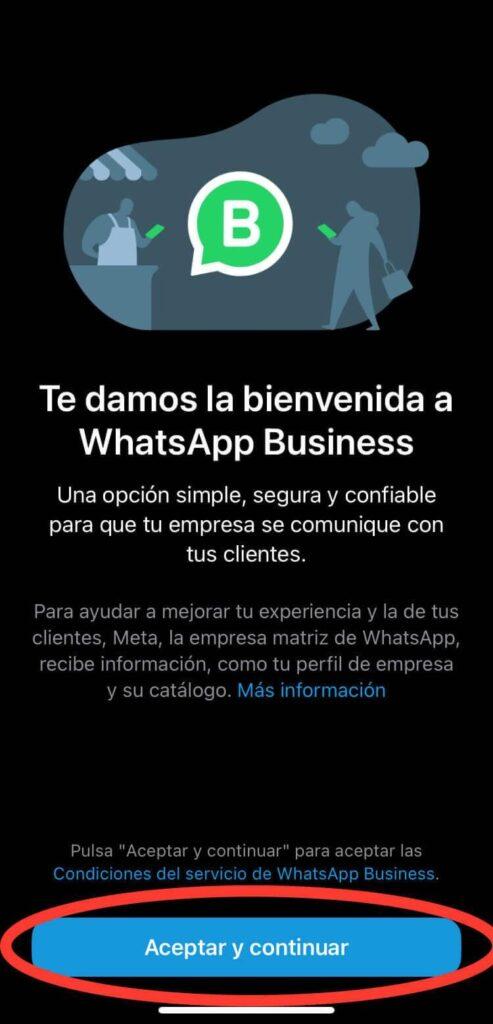 Ilustración del artículo: ¿Cómo funciona WhatsApp Business?