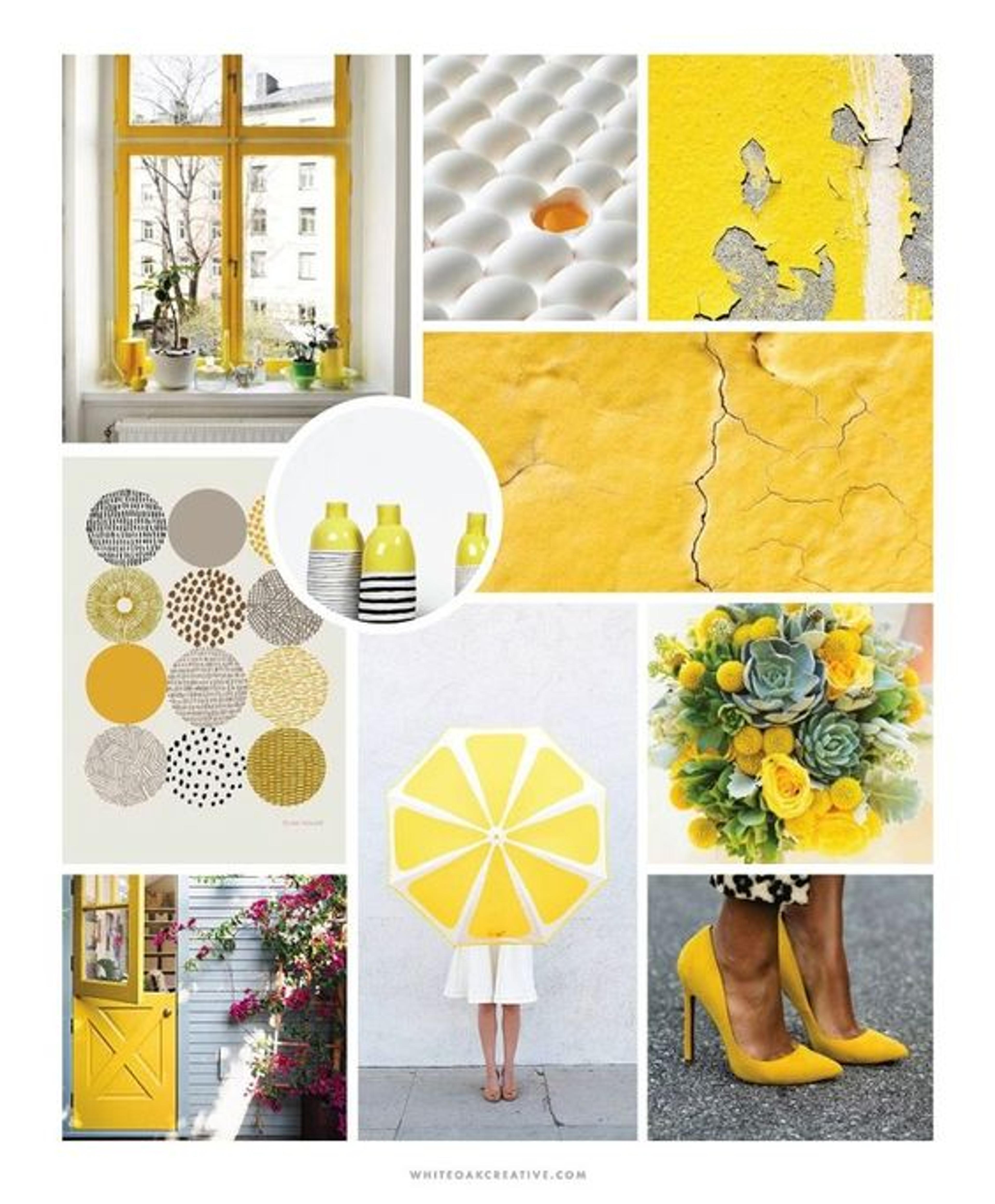 Ilustración del artículo: Qué es un moodboard y para qué me sirve
