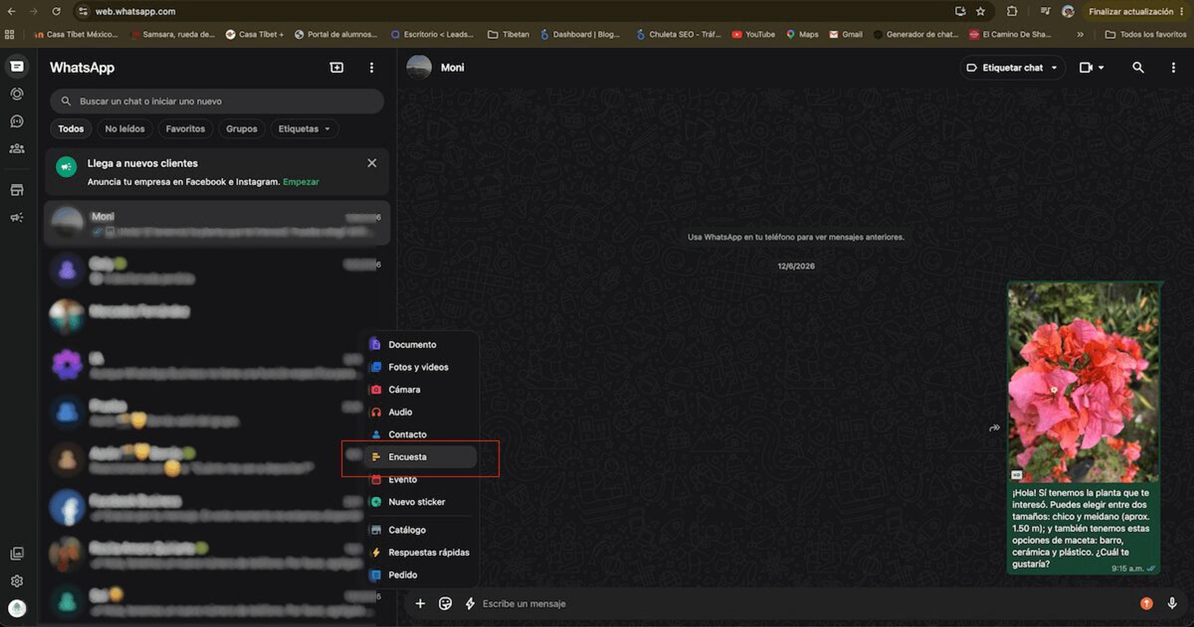 Menú de adjuntar en WhatsApp Web con la opción Encuesta seleccionada en el panel desplegable