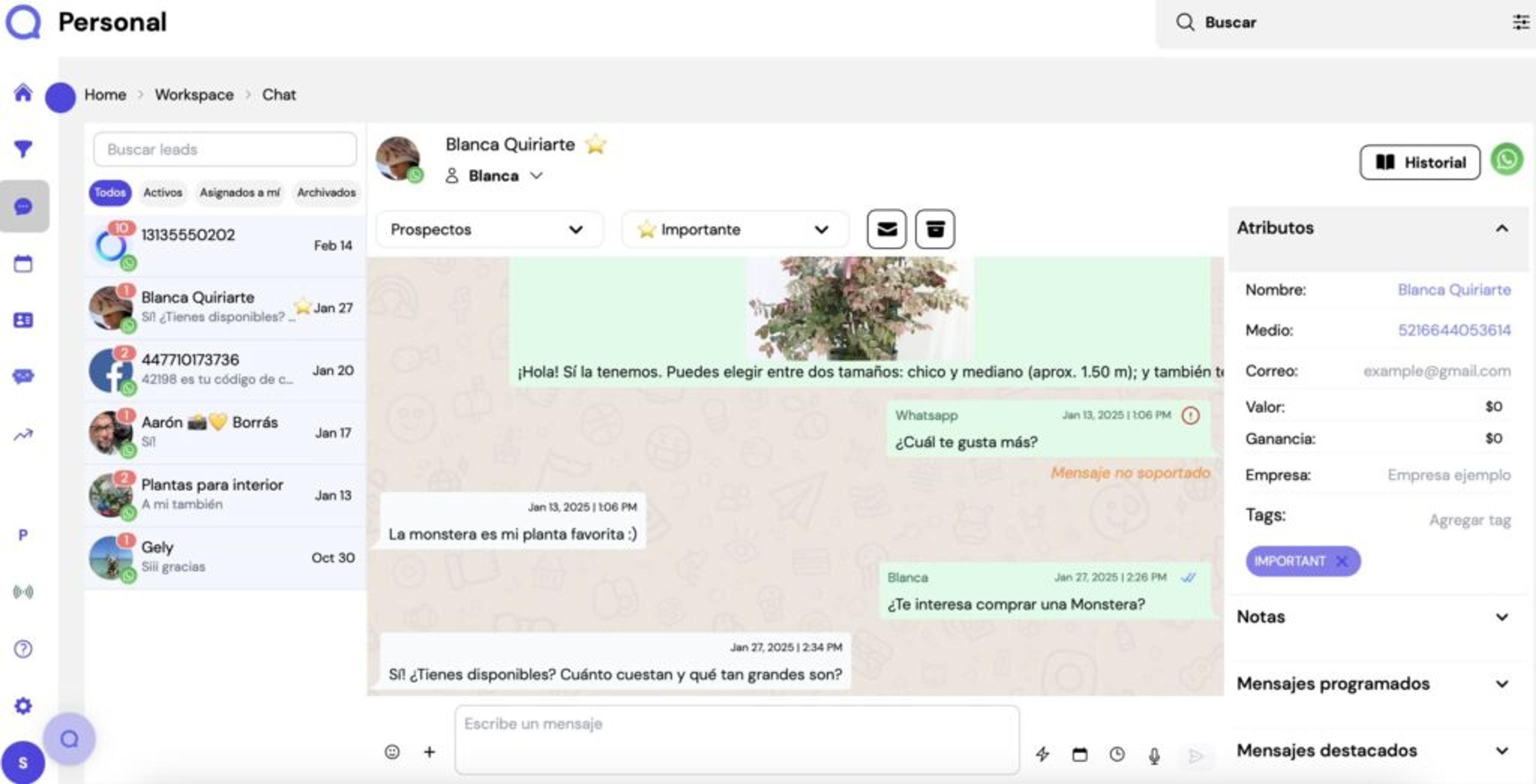 ejemplos de CRM chats