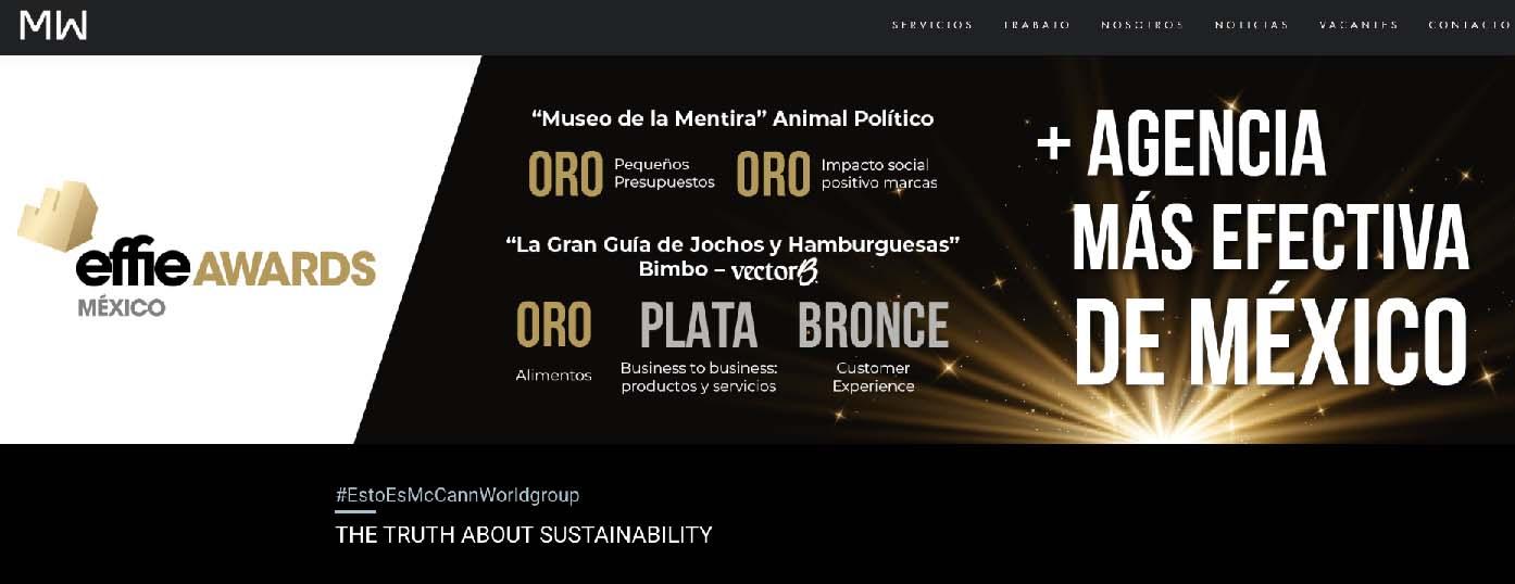 mccann home page