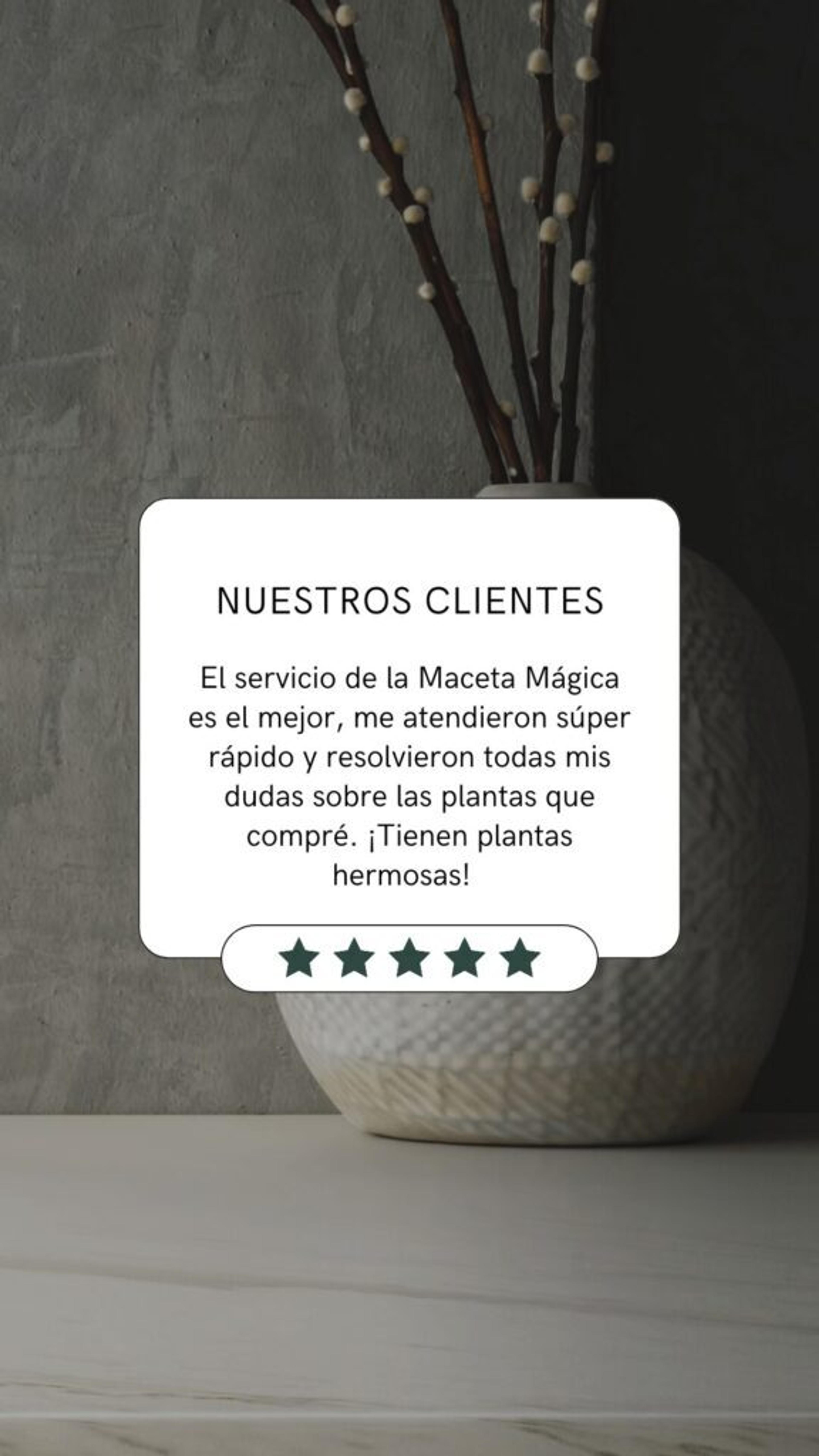 Ilustración del artículo: ¿Qué es un embudo de ventas en Instagram y cómo hacerlo?