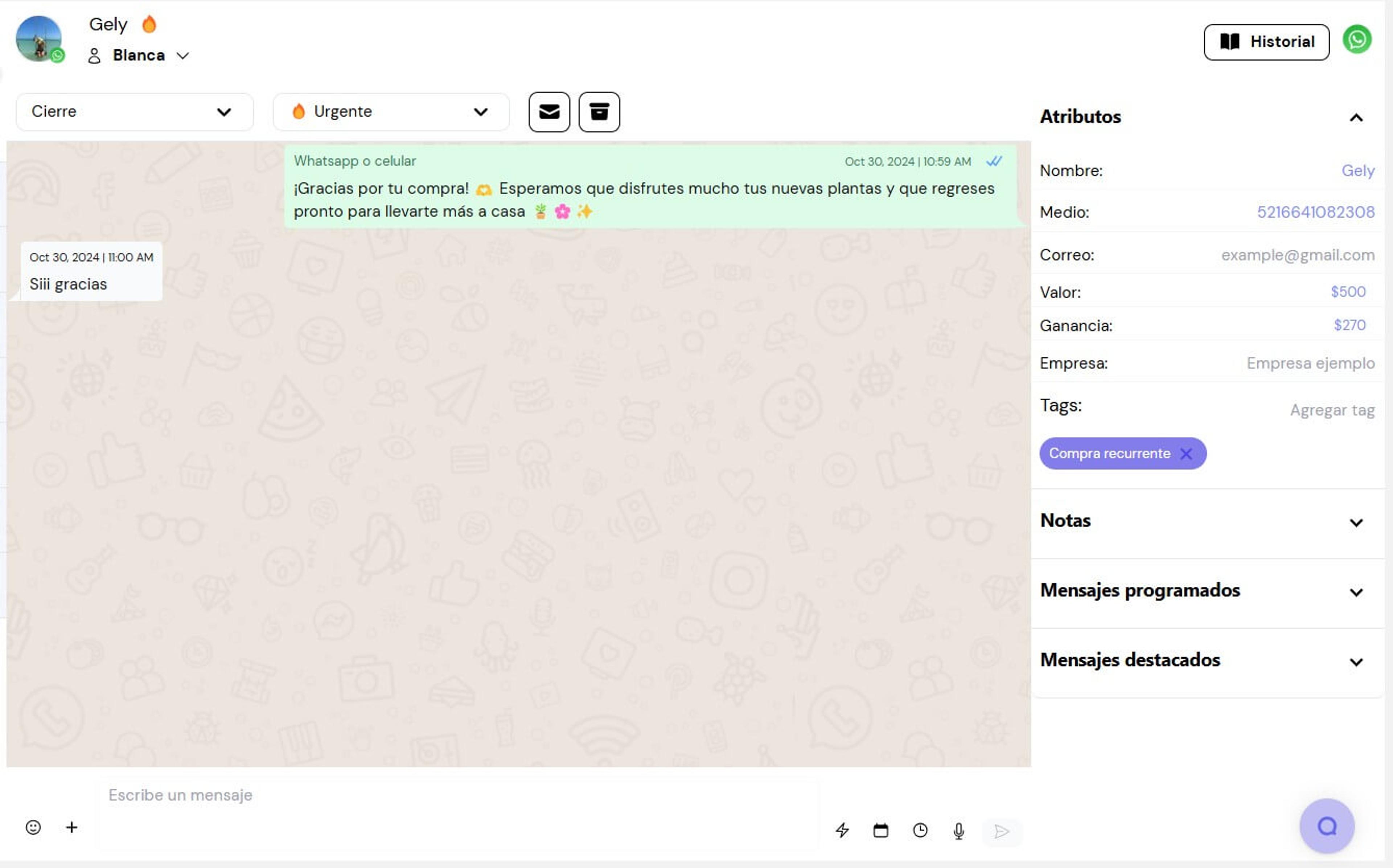Visualización de chat de Leadsales