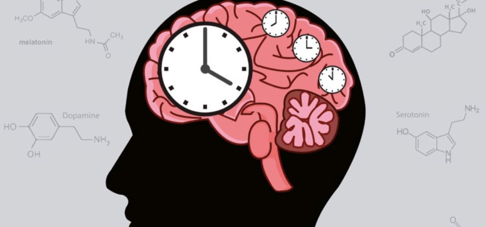 Ilustración del artículo: 5 técnicas para incrementar la productividad