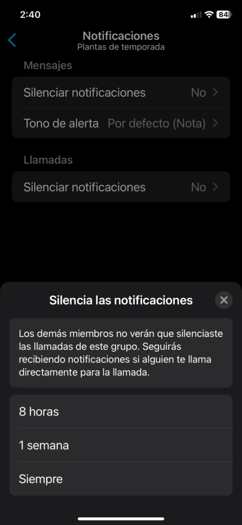 Ilustración del artículo: Consejos para administrar un grupo de WhatsApp Business exitosamente