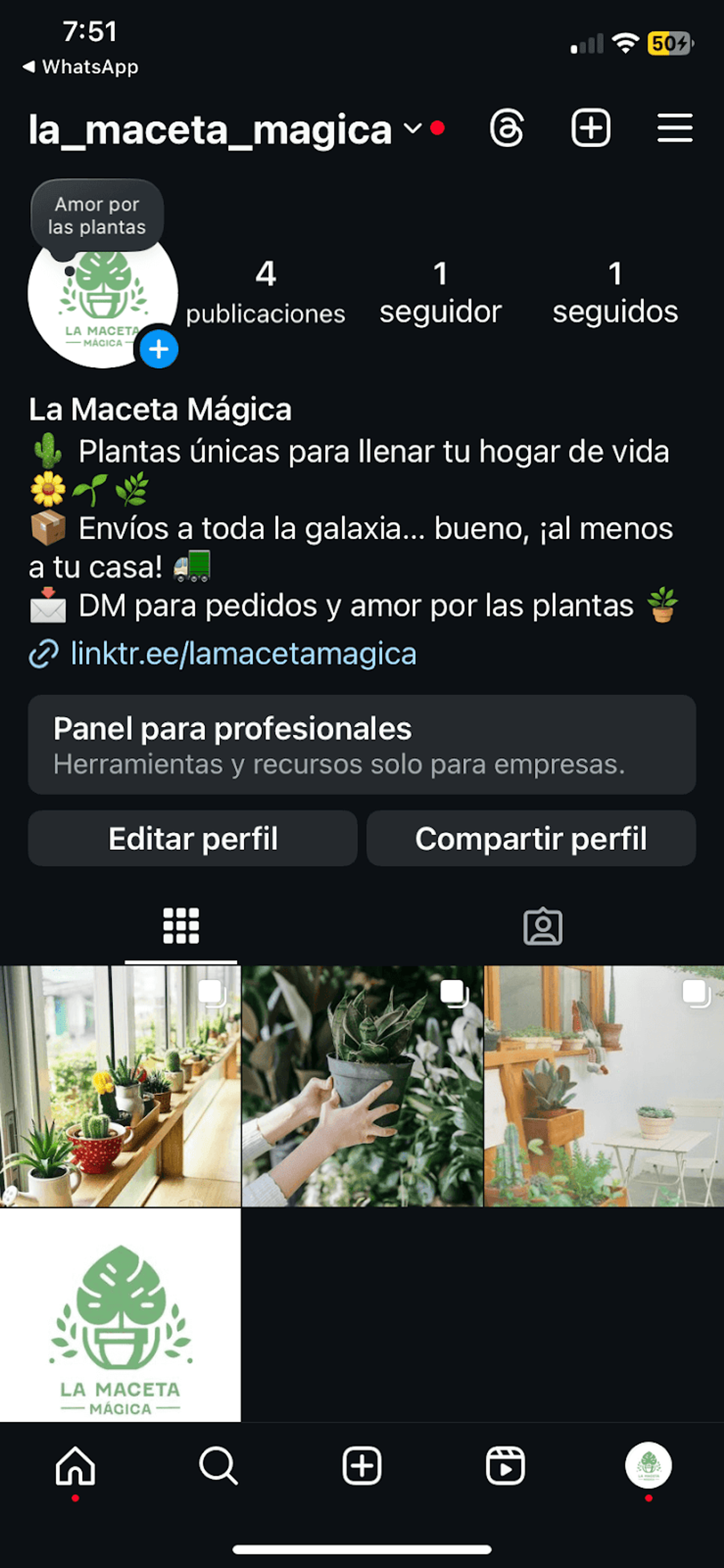 Ilustración del artículo: Tutorial completo para crear una página de ventas en Instagram