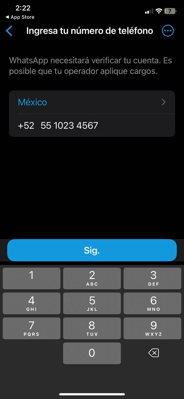 Pantalla de ingreso de número