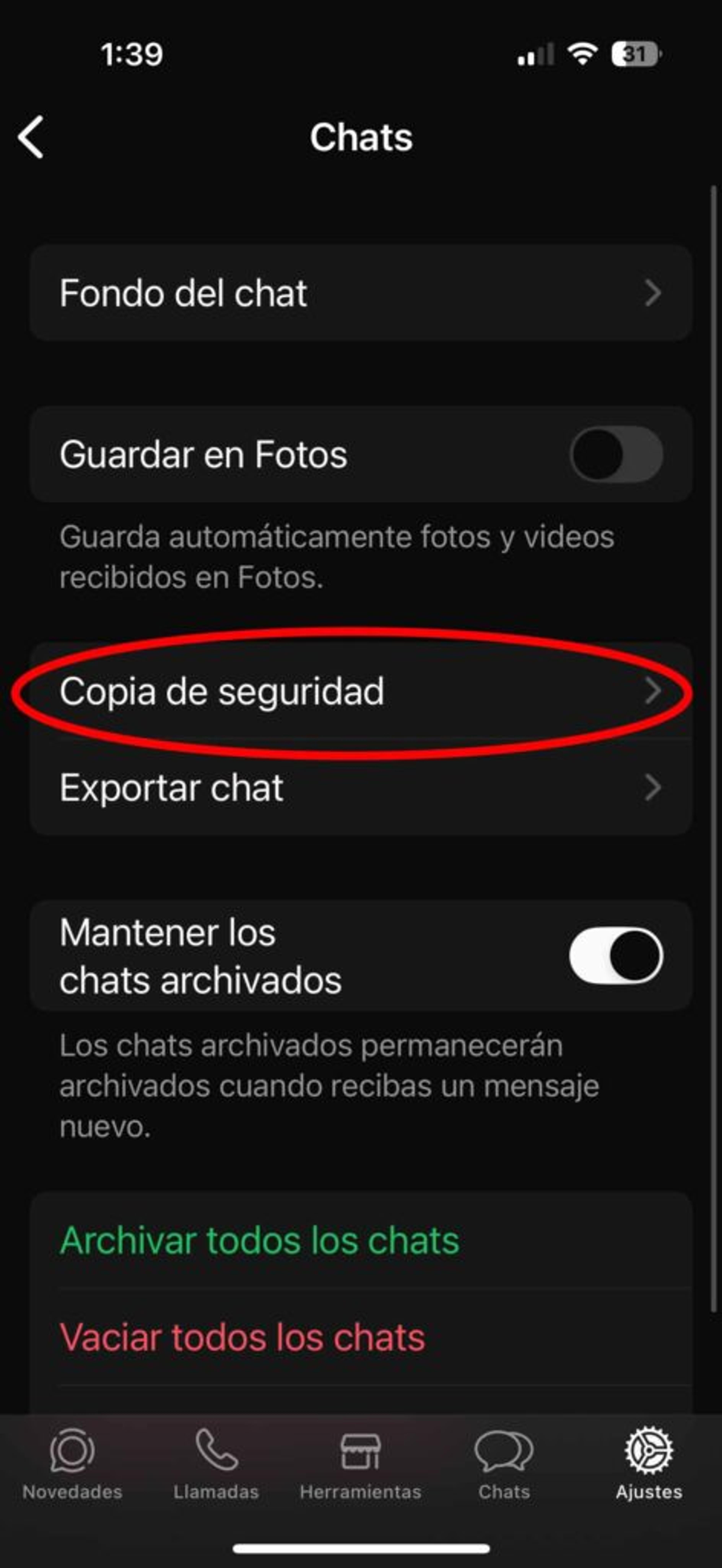Ilustración del artículo: Cómo hacer copia de seguridad en WhatsApp Business en 6 pasos