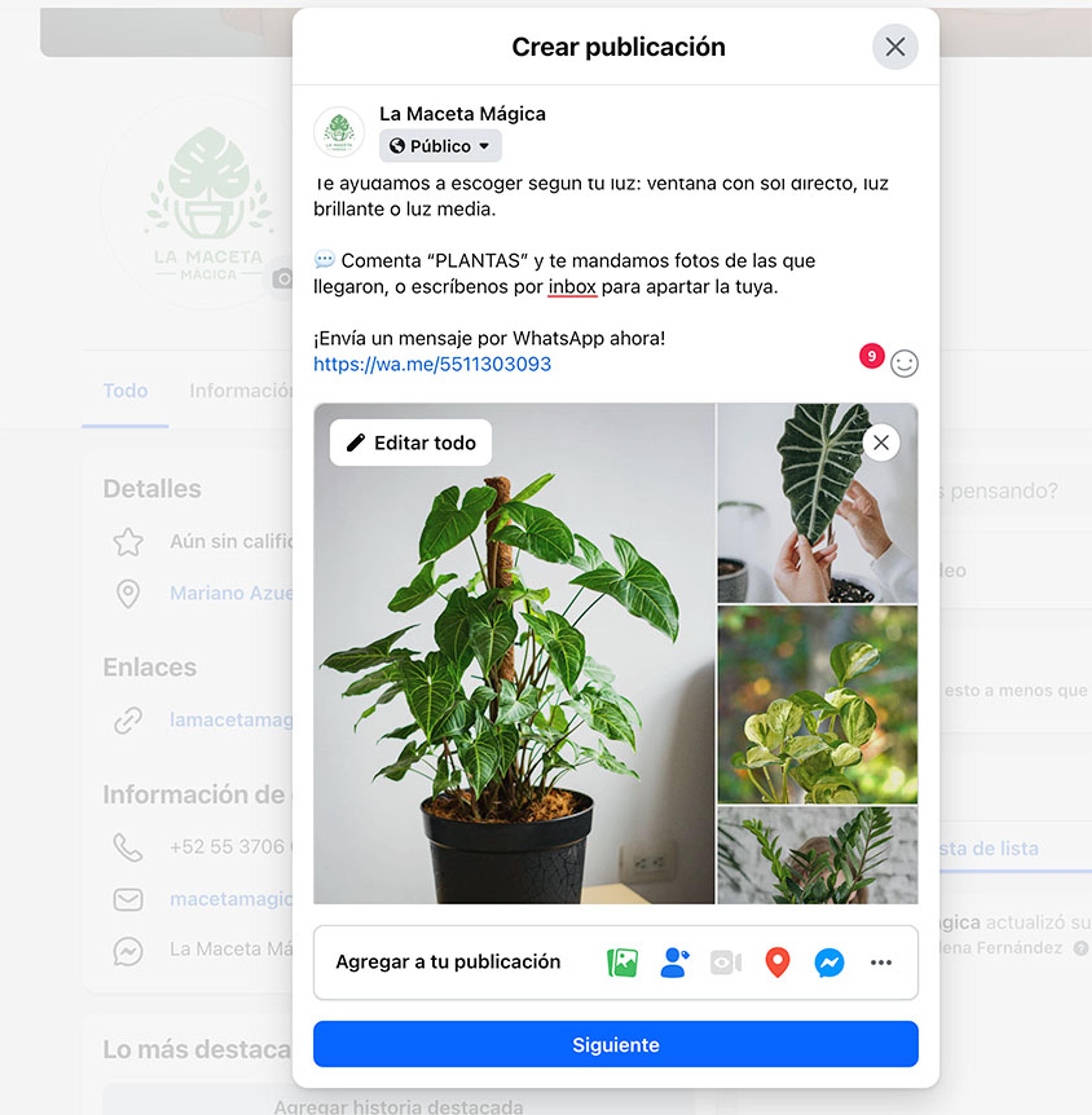Ilustración del artículo: Cómo poner botón de WhatsApp en publicaciones de Facebook (Guía paso a paso)