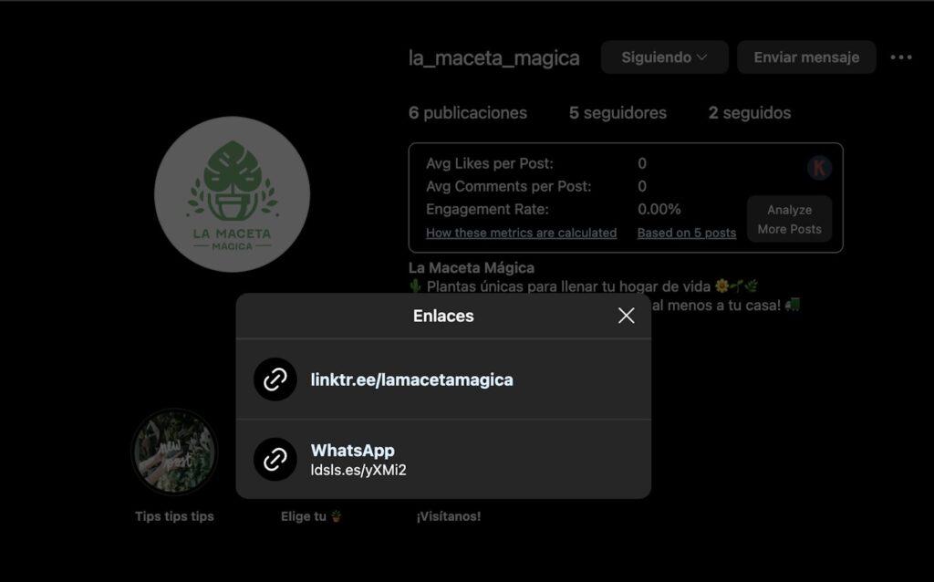 Ilustración del artículo: ¿Cómo poner un link de WhatsApp en Instagram? Guía actualizada paso a paso