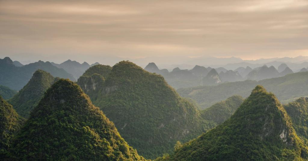 Researcher reviewing academic paper citations to avoid desk rejection