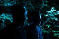 Bragolin/Carrellee/Cold Choir