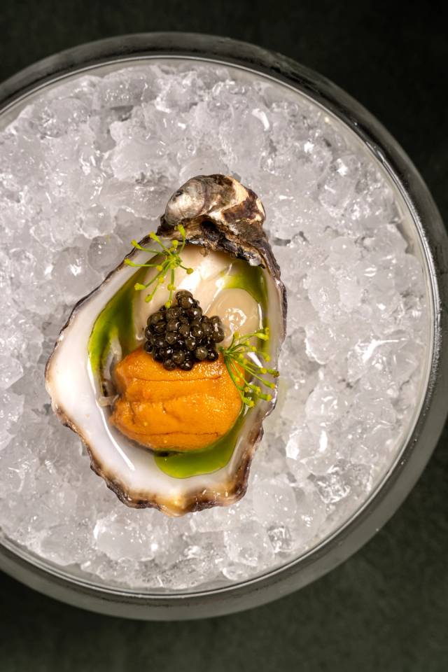 Oyster boudeuse n°4, uni & caviar