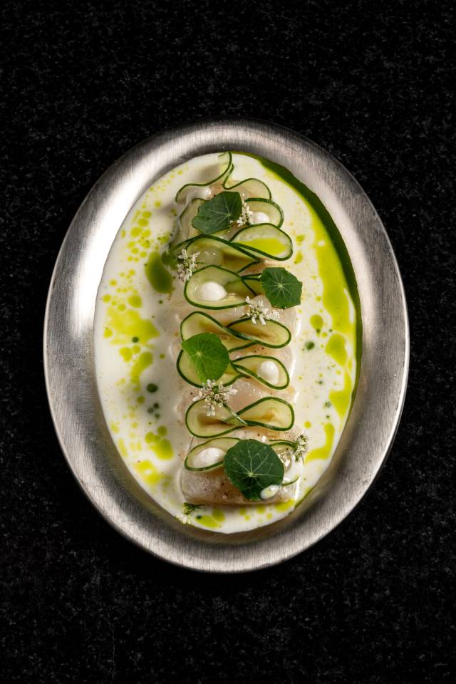 Hokkaido sea scallop raw, coconut, cucumber