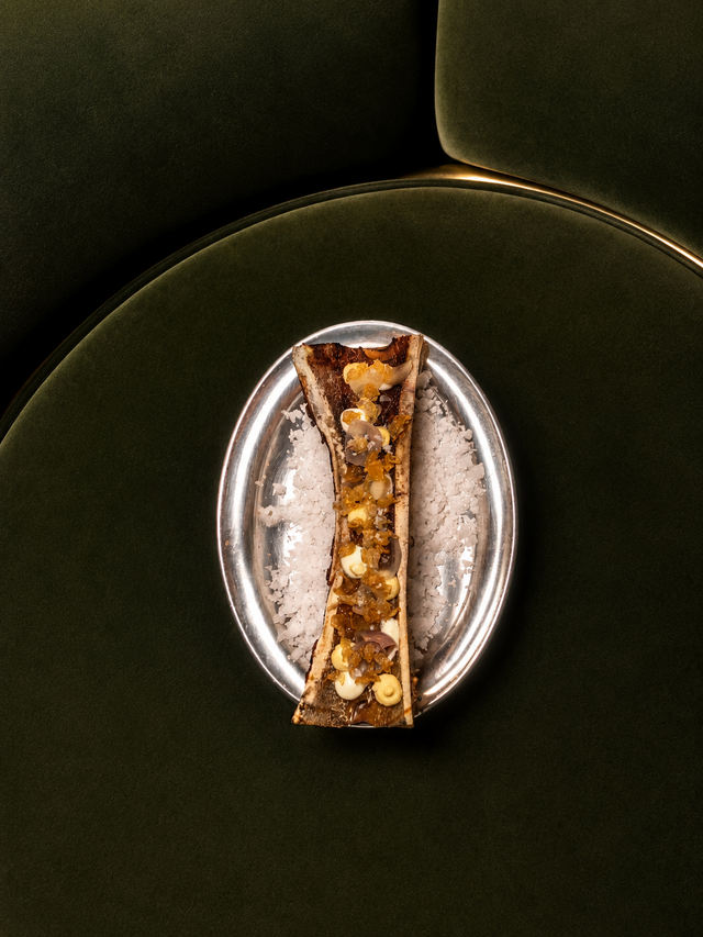 Bone marrow