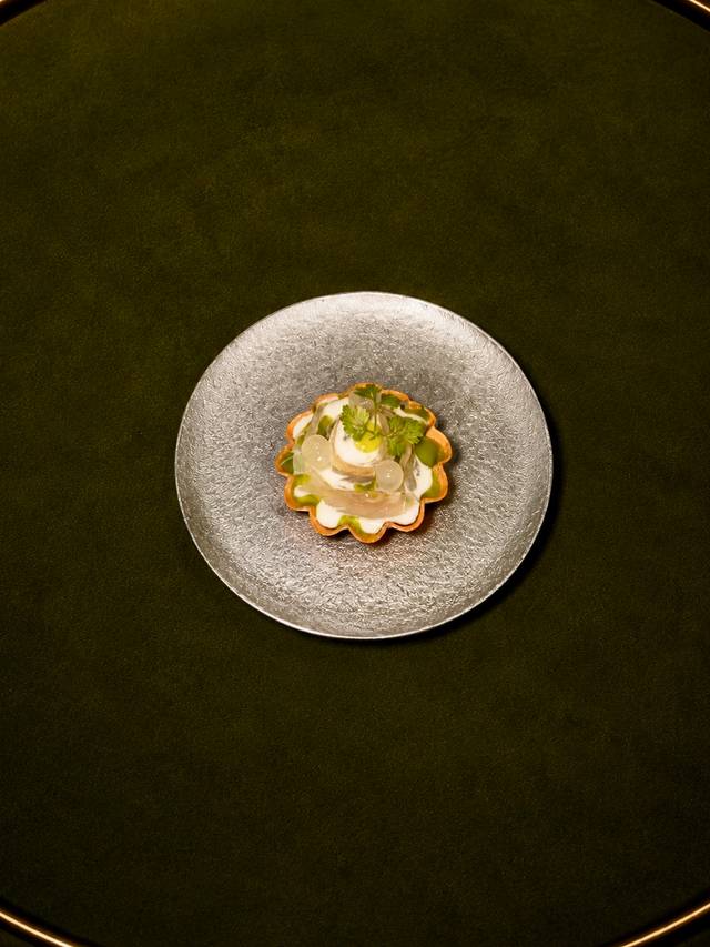 Sea bream tartelette & yuzu