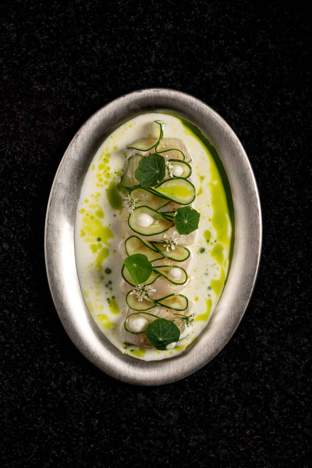 Hokkaido sea scallop raw, coconut, cucumber