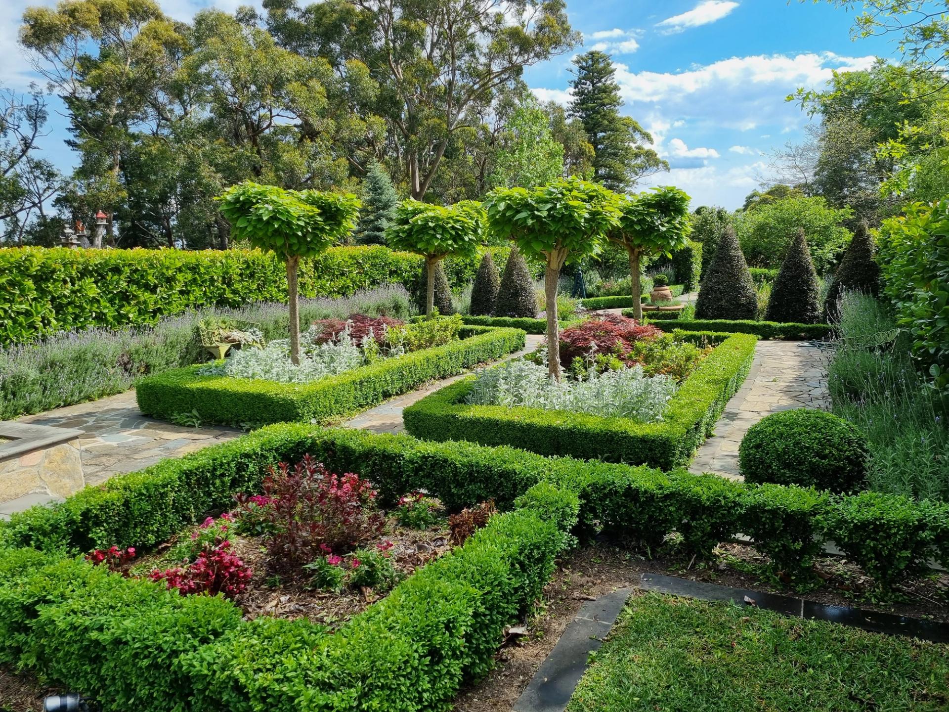 Peter Sheppard -Japanese inspired garden