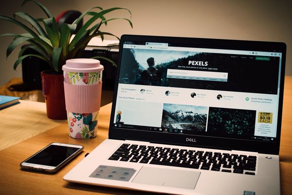WordPress vs. Wix: Hva er best for din småbedrift?