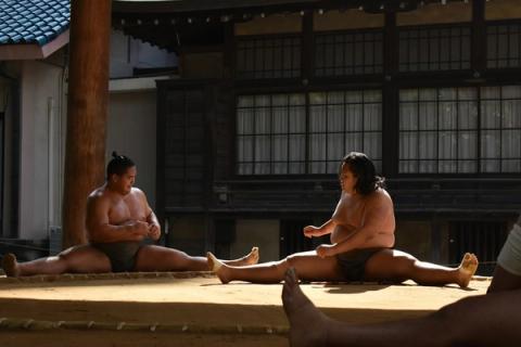 Dos luchadores de sumo estirando en el suelo de madera de una escuela