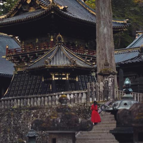 Edificios lacados del santuario Tōshō-gū de Nikkō entre cedros