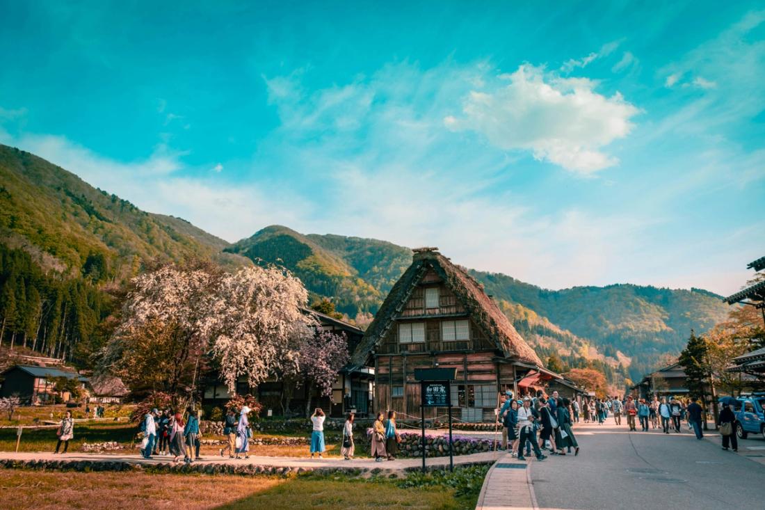 Aldeas históricas con casas de tejado de paja en pendiente entre montañas verdes, con turistas paseando y un cerezo en flor bajo cielo azul