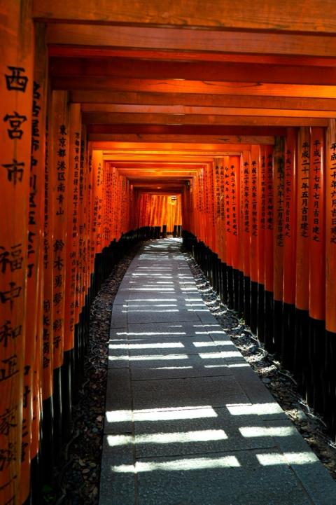 Túnel de toriis bermellón en el santuario Fushimi Inari, en Kioto