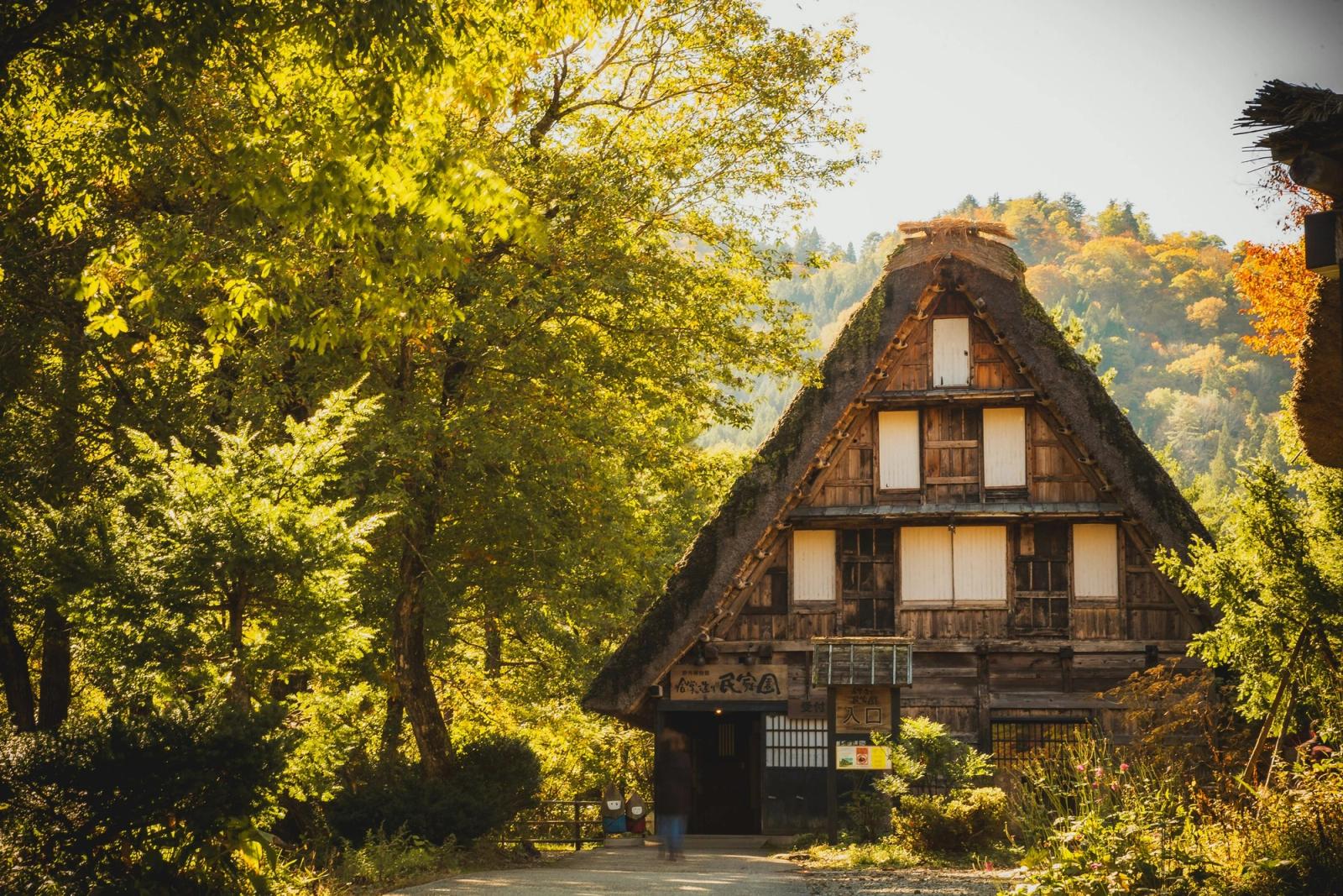 Casa de tejado de paja de Shirakawa-gō entre árboles de otoño