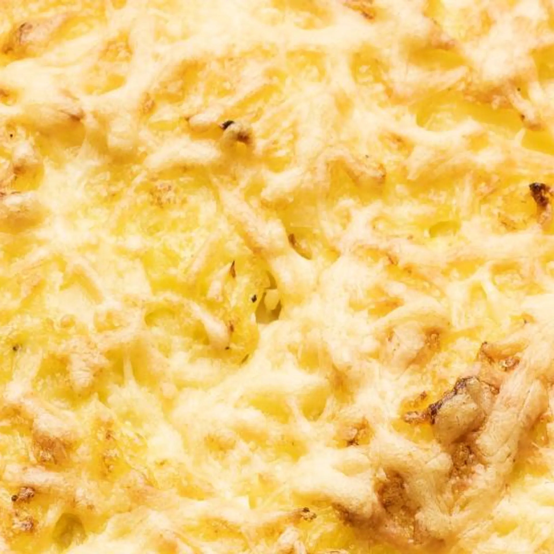 Gratin med mørksej