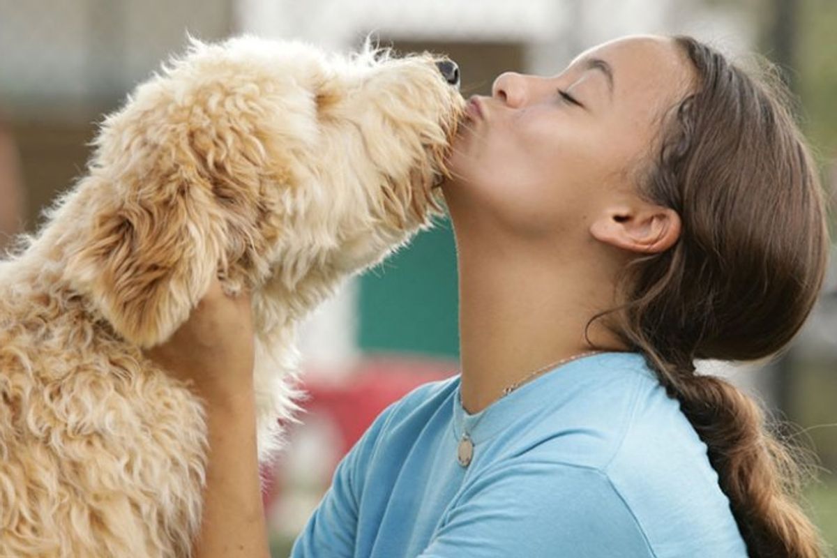 carers at pet paradise close to me