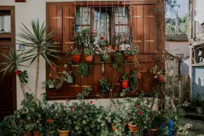 7 Tanaman Hias Murah tapi Bagus untuk Dekorasi Rumah Estetik di Green House Serpong