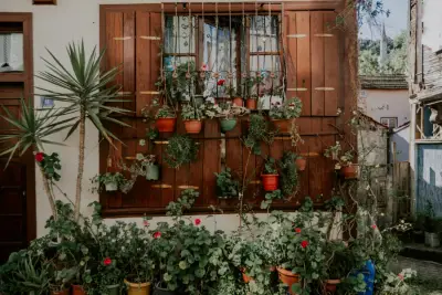 7 Tanaman Hias Murah tapi Bagus untuk Dekorasi Rumah Estetik di Panorama Bali Residence