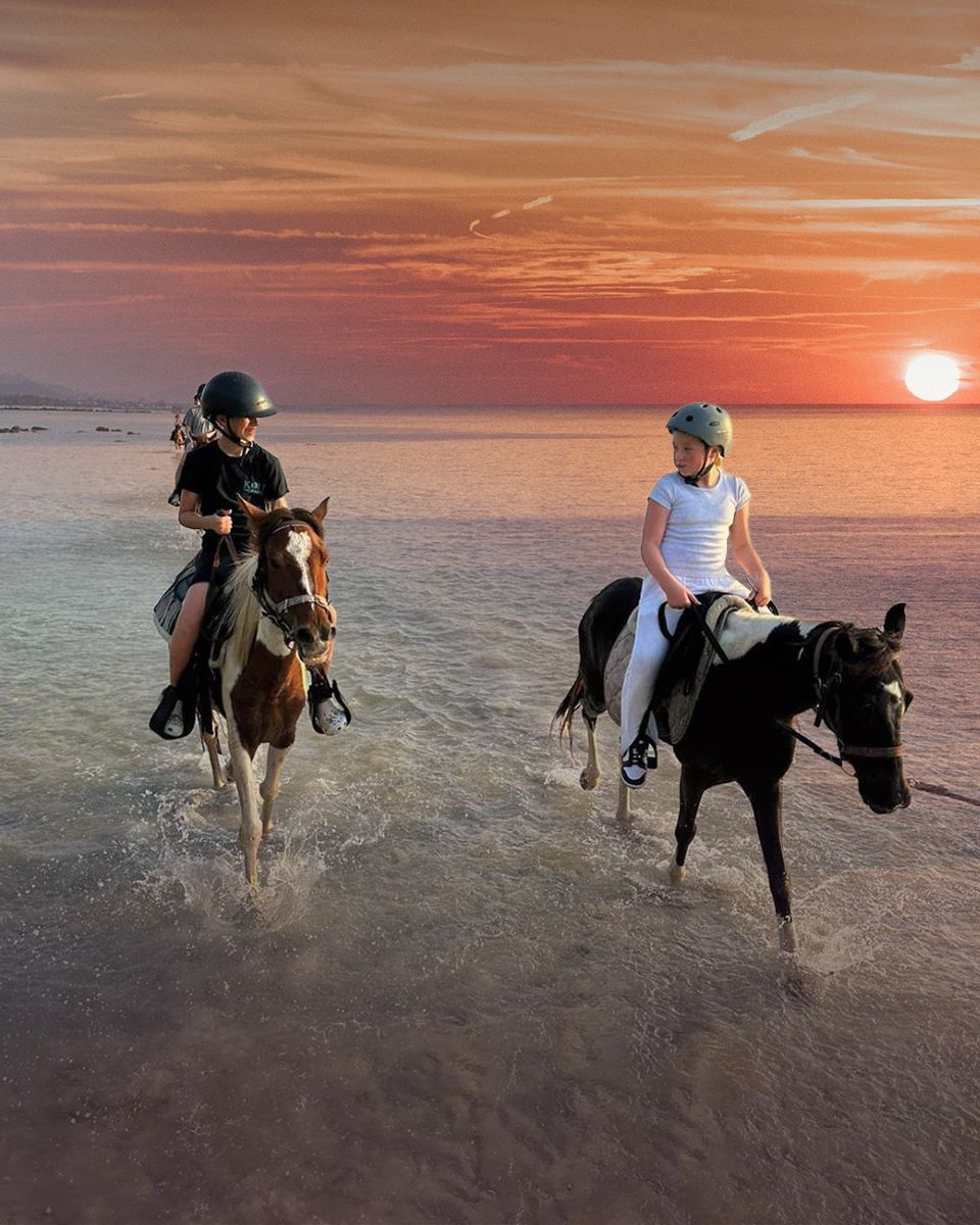 Horse Riding