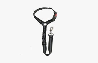 Pet Restraint