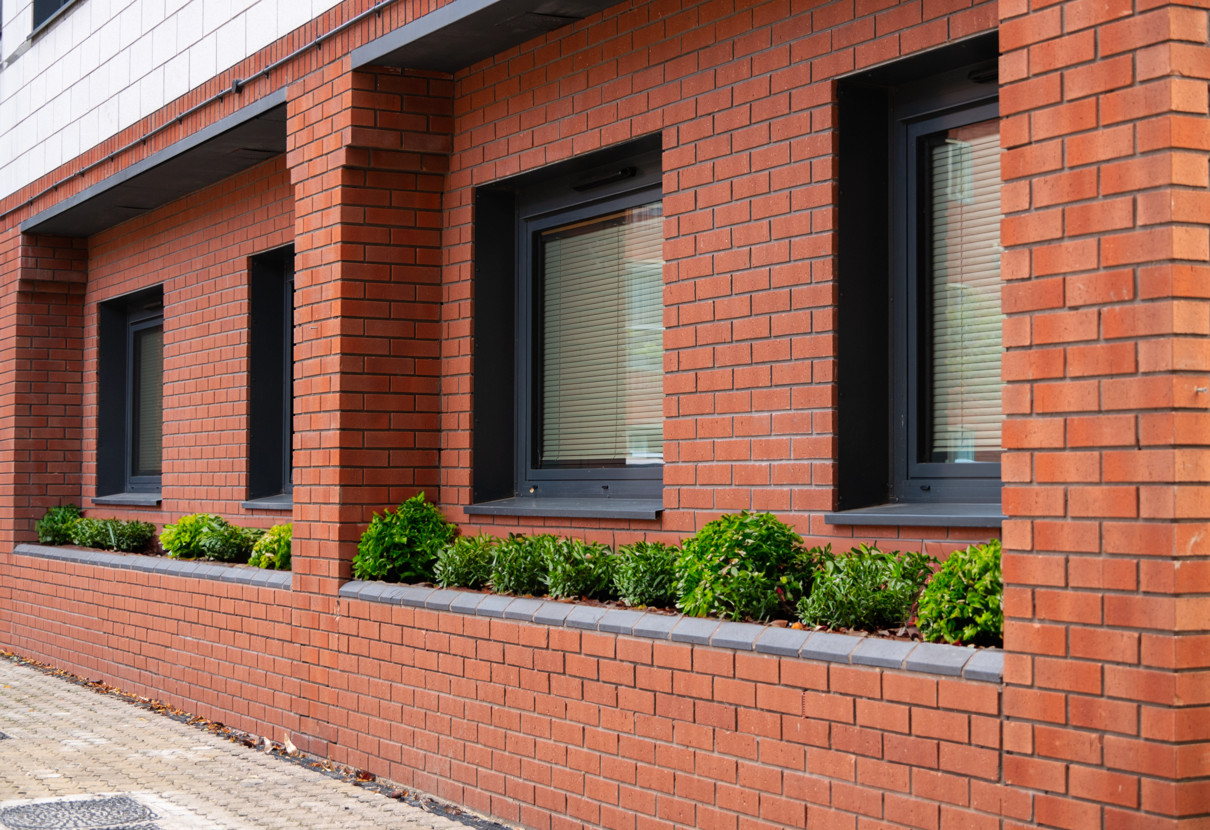 Portrait of undefined