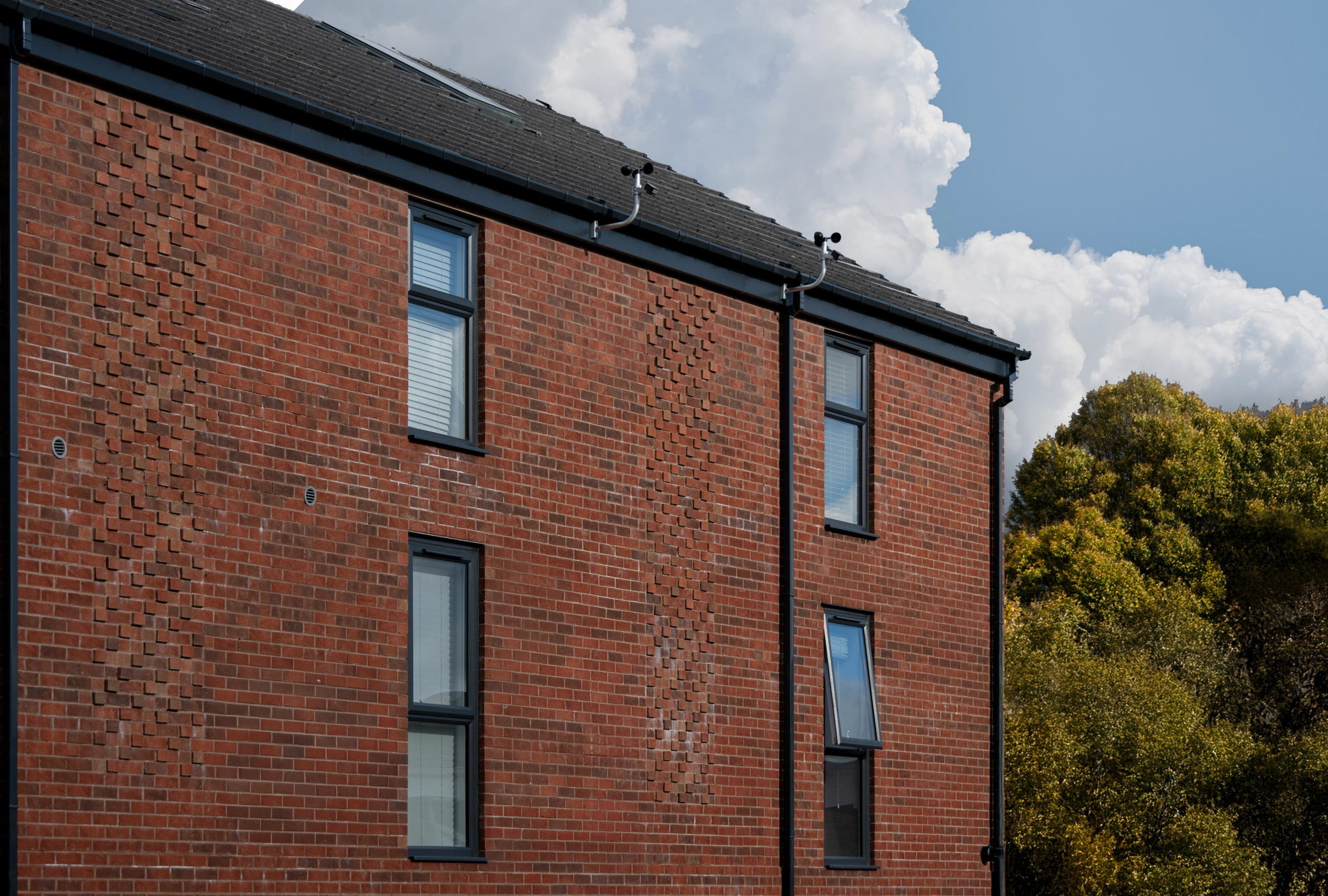 Portrait of undefined