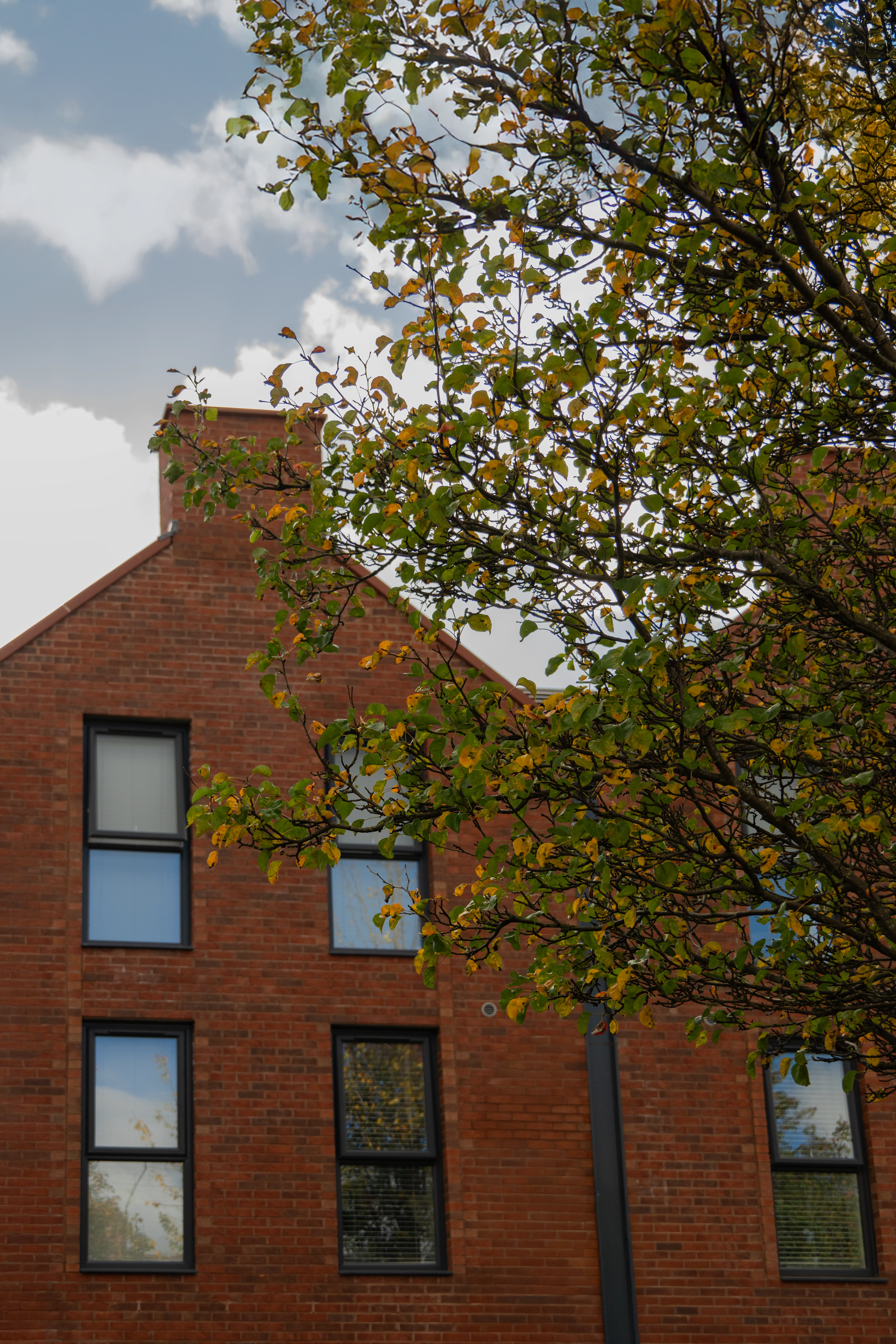 Portrait of undefined