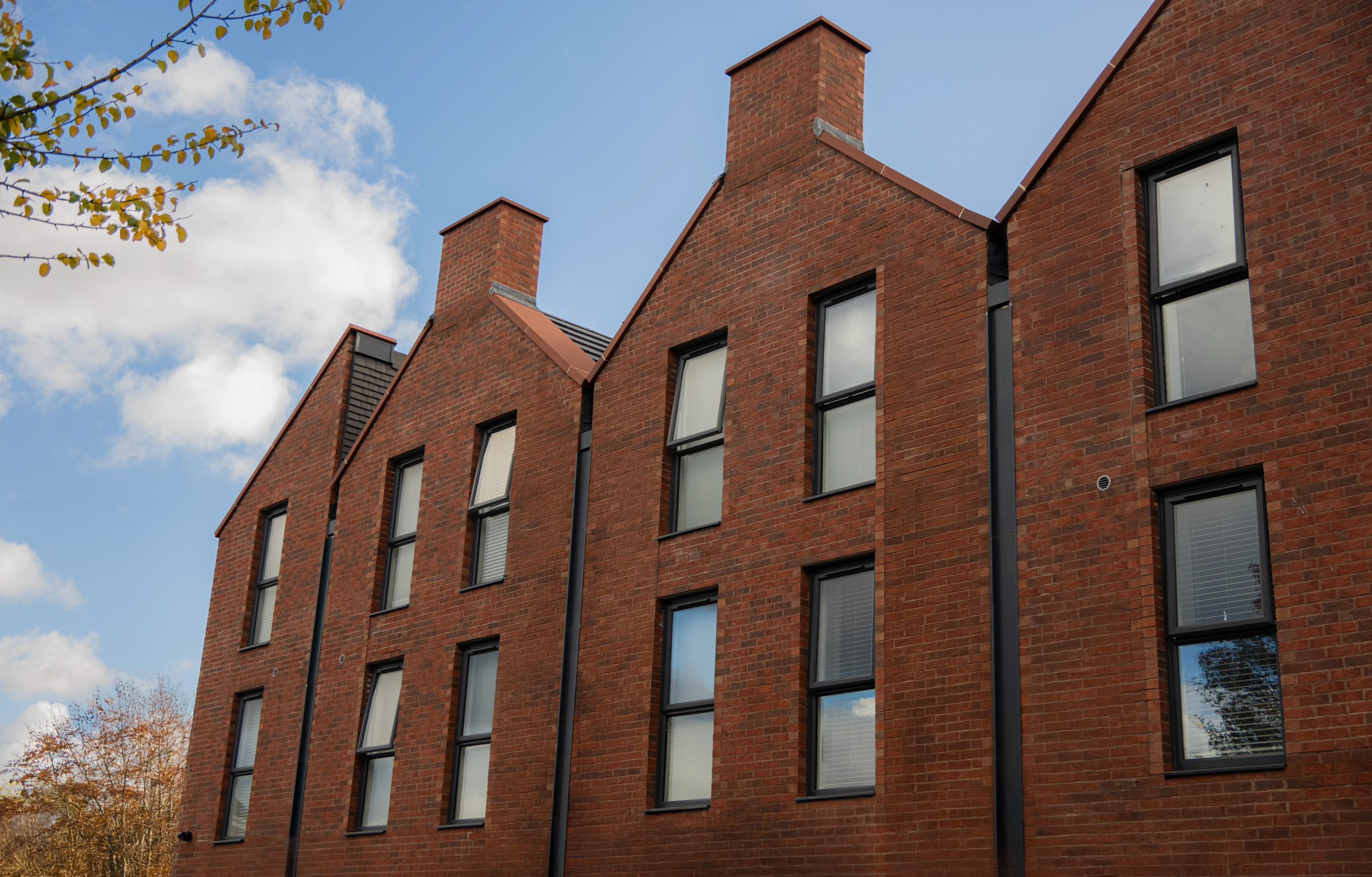 Portrait of undefined