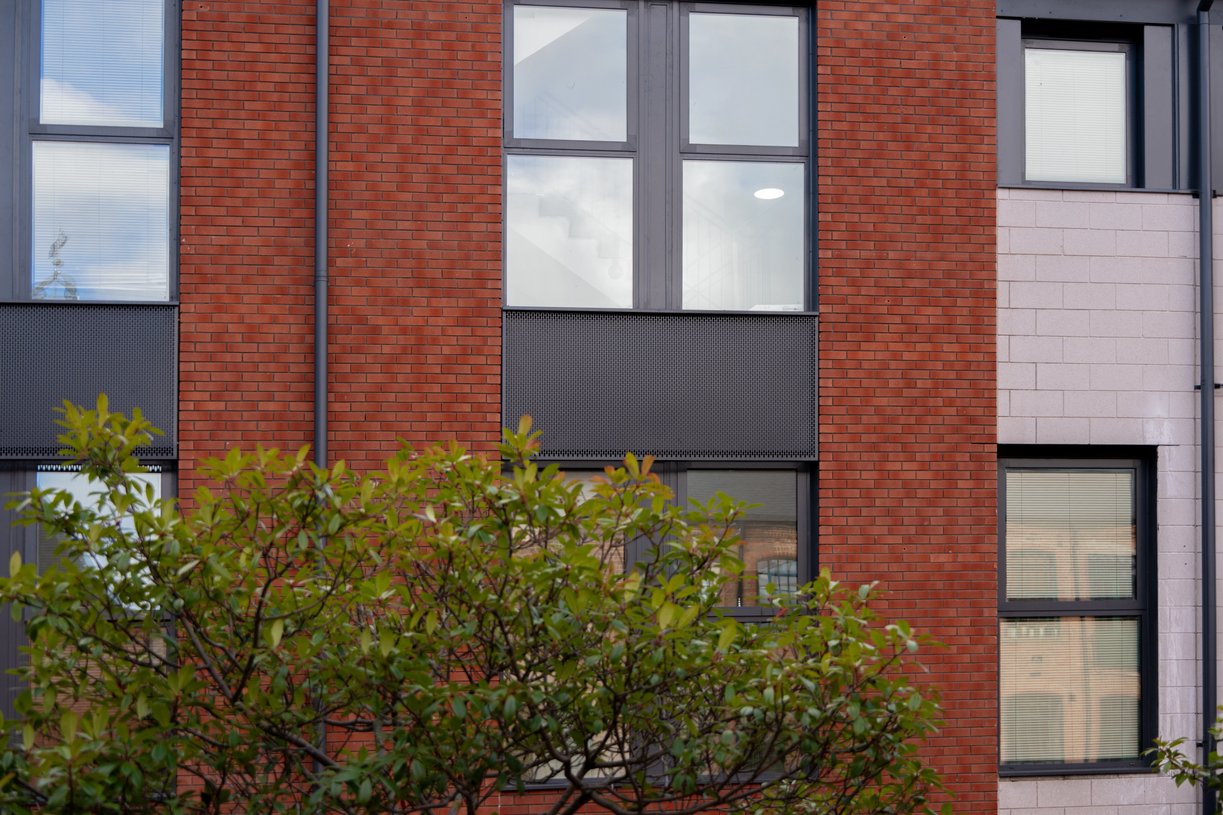 Portrait of undefined