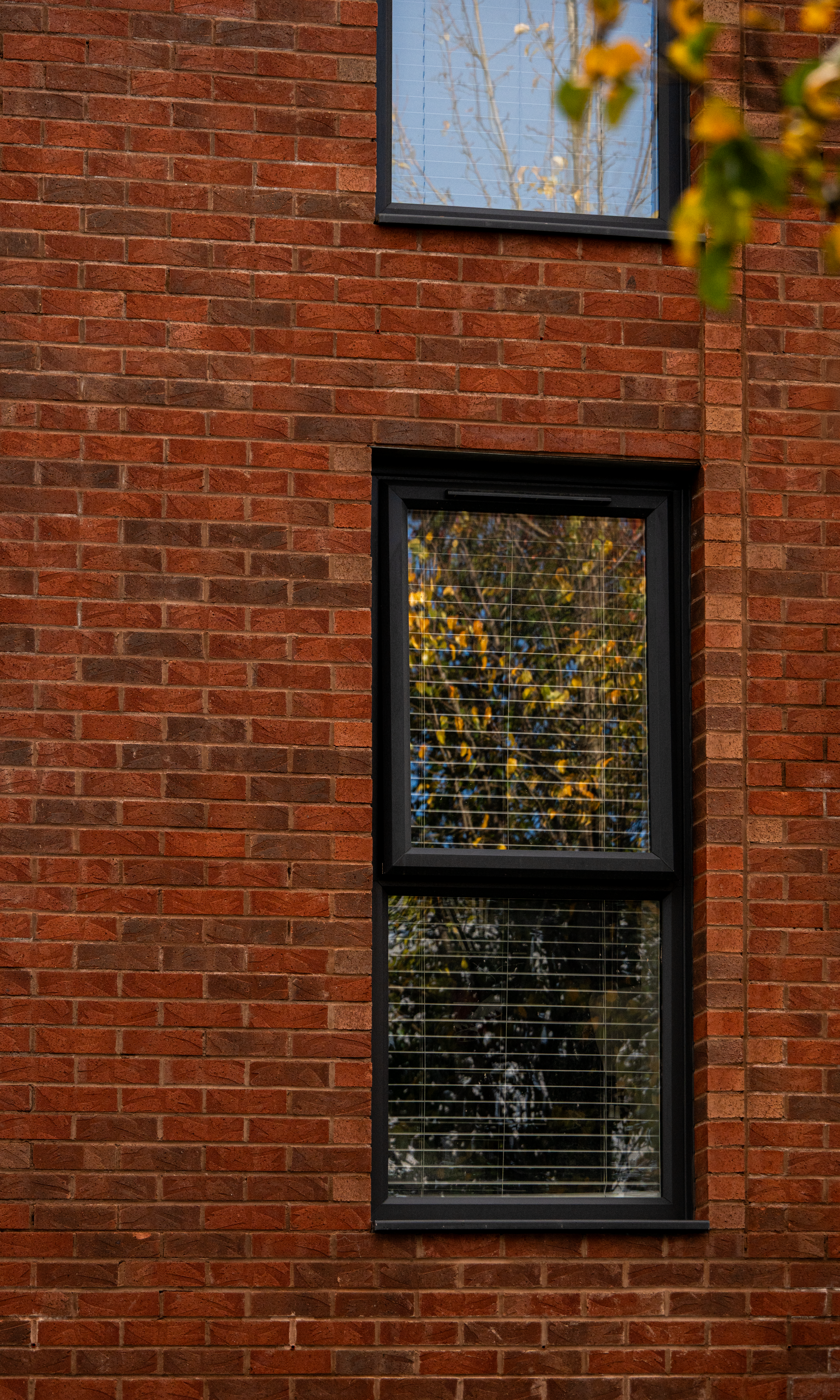 Portrait of undefined