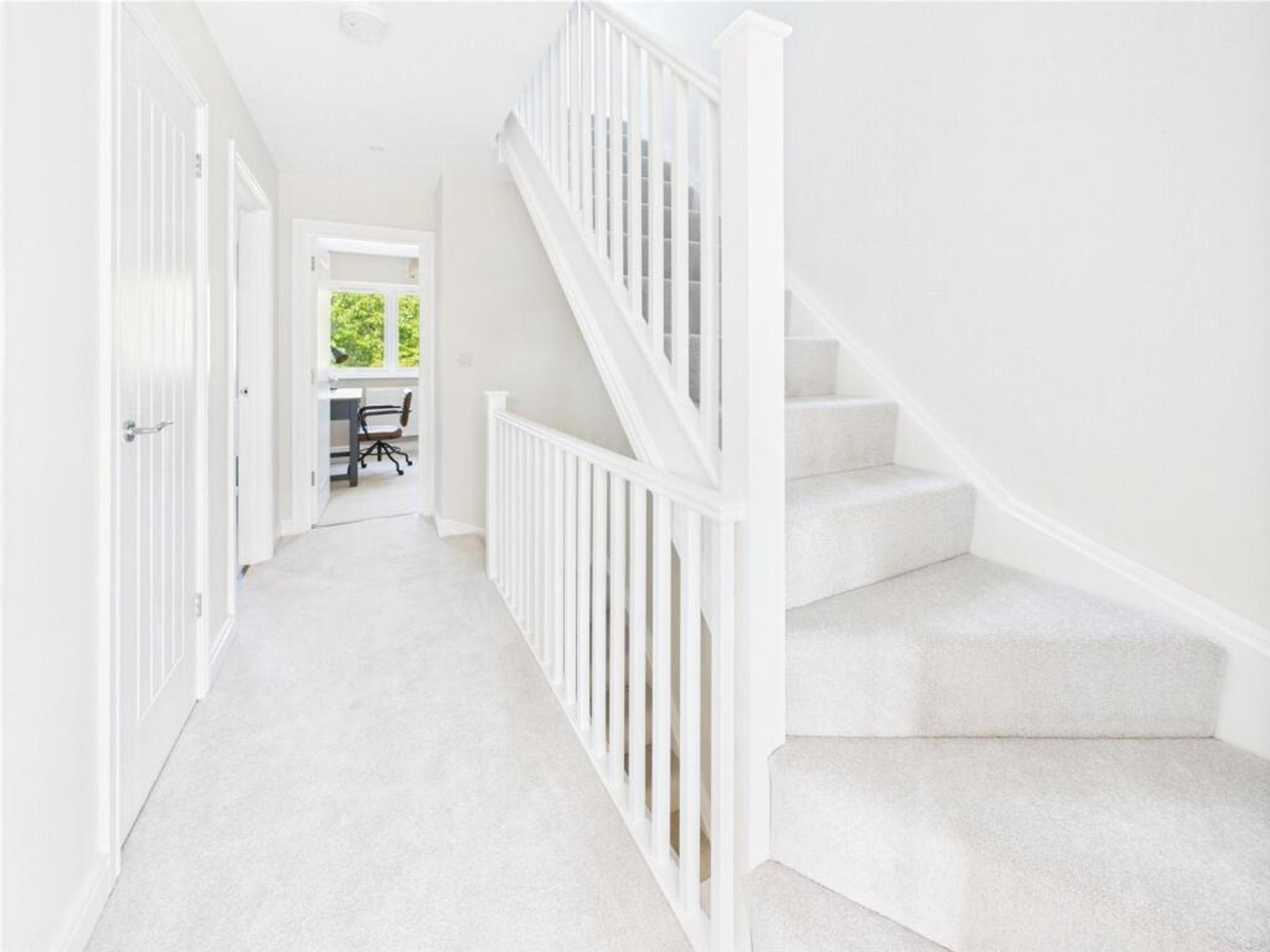 Portrait of undefined