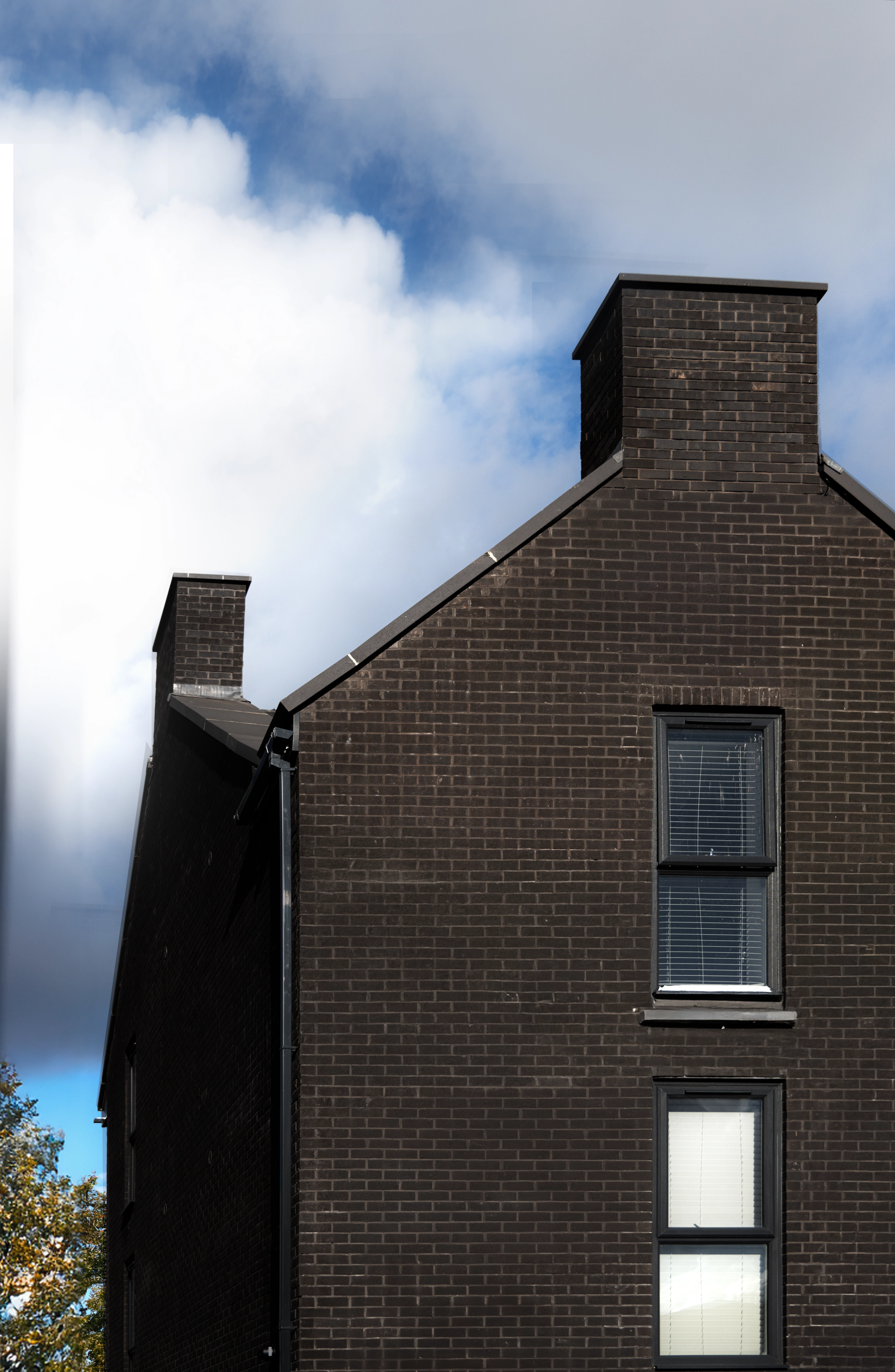 Portrait of undefined