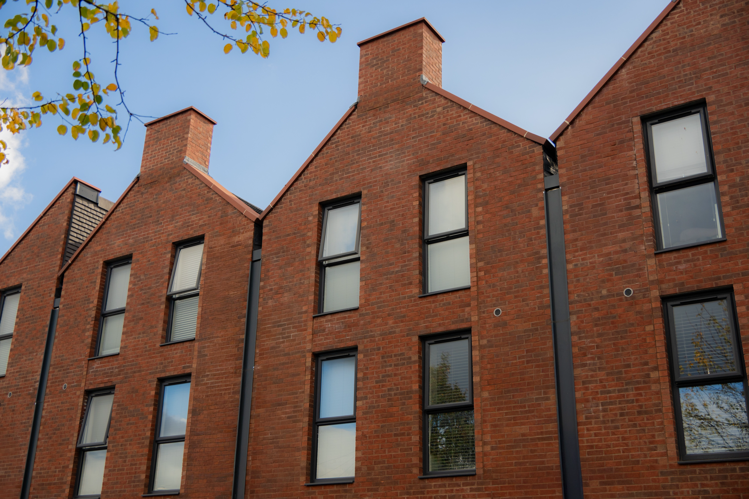 Portrait of undefined