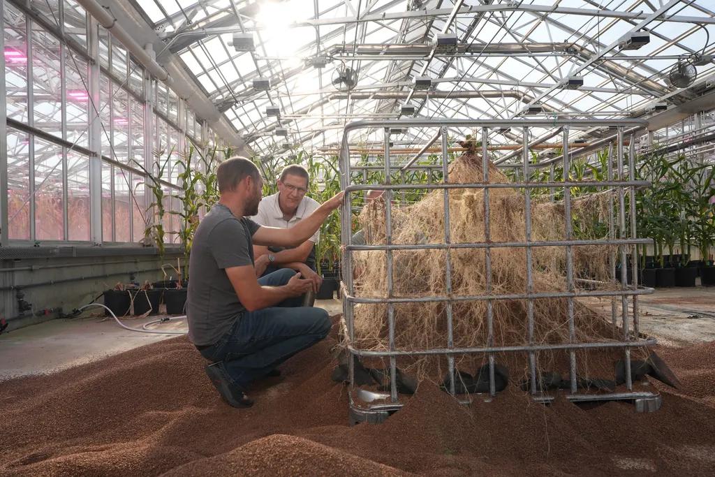 Jim Schwartz and Steve Becker evaluating a Root Reveal Box