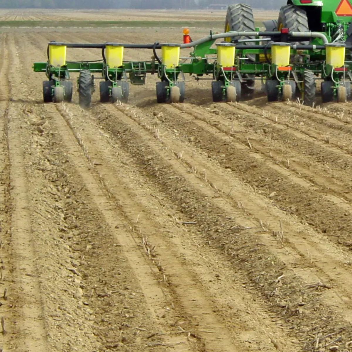 2022 Indiana Corn Planting Date Study - Population Response