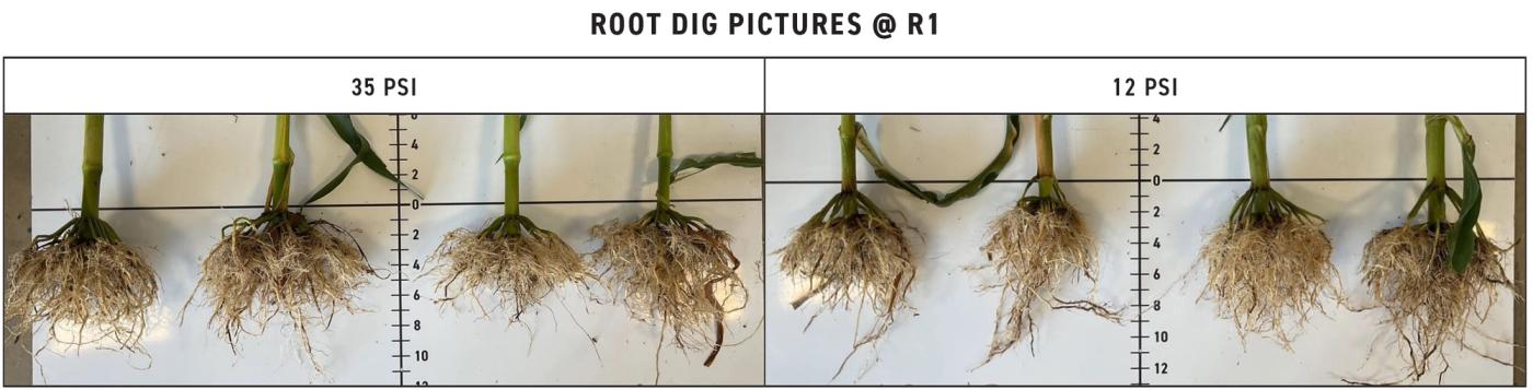 2023 Indiana Corn Tire Pressure Root Dig Pictures