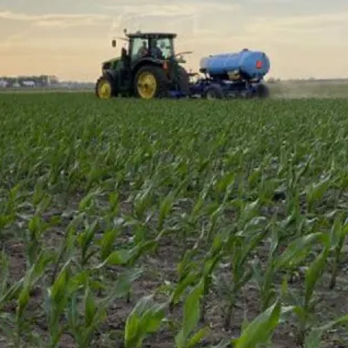 2023 Ohio Corn Sidedress Depth Study