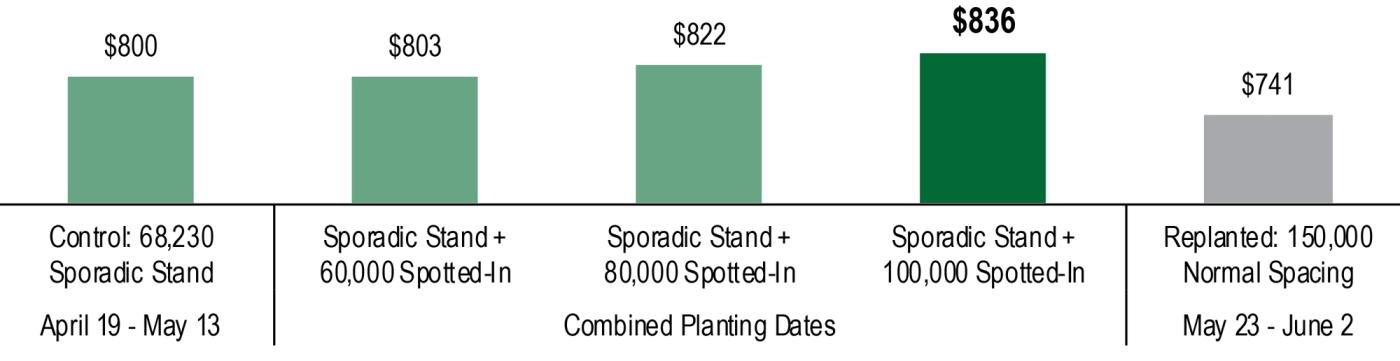 2023 Ohio Soybean Replant Study - Spotting In - Graph