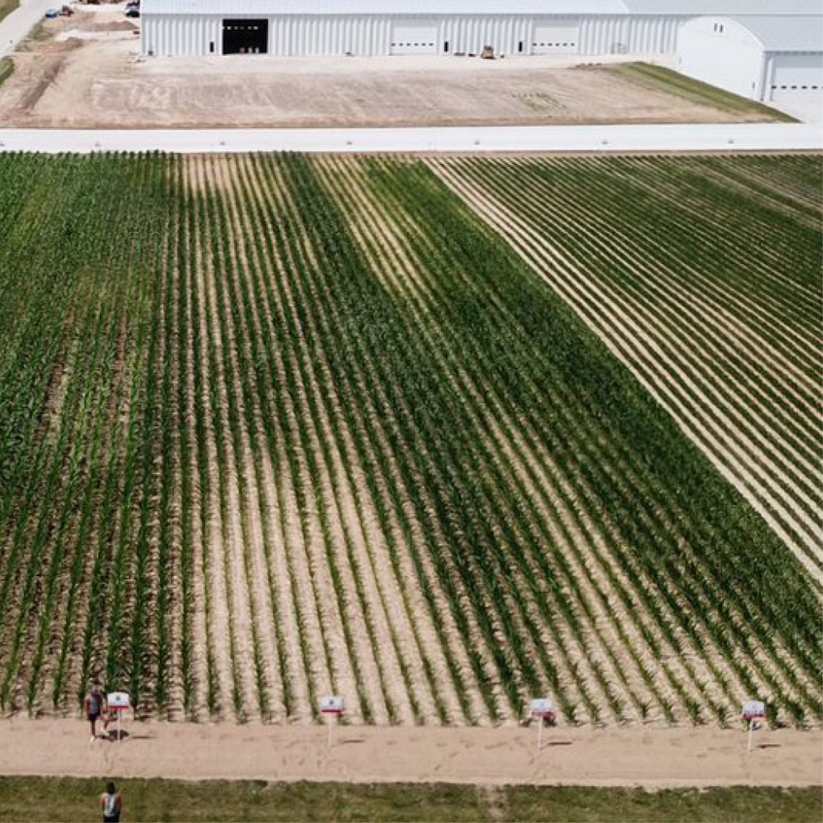 2022 Indiana Corn Tillage Study - Corn-After-Corn